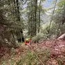 Le operazioni di soccorso