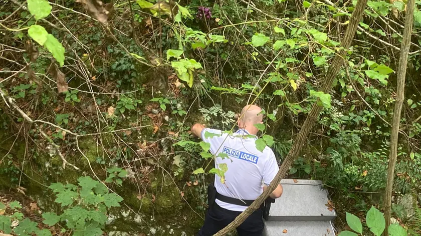 Scarica amianto ed elettrodomestici nei boschi di Aviano: individuato e denunciato 43enne