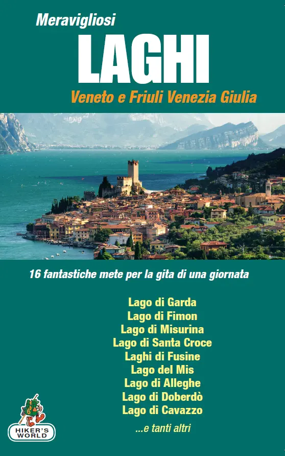 La copertina del volume