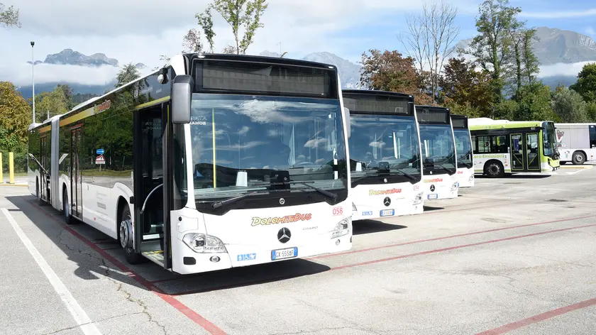Dolomitibus, ventuno pagine di criticità: «Il servizio va migliorato»