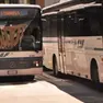 Tpl Fvg Scarl, consorzio che unisce le quattro aziende provinciali del trasporto pubblico, non può ancora avviare il servizio come gestore unico.