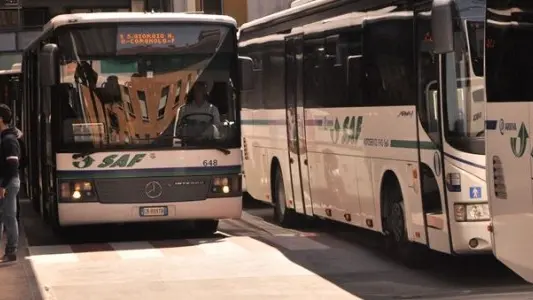 Tpl Fvg Scarl, consorzio che unisce le quattro aziende provinciali del trasporto pubblico, non può ancora avviare il servizio come gestore unico.