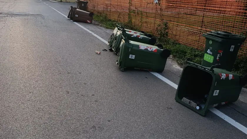 Alcuni dei cassonetti rovesciati in strada