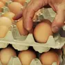 Uova, richiamate quattro confezioni per presenza di Salmonella sul guscio