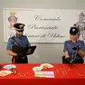 I carabinieri con la refurtiva