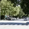 Viale Grigoletti