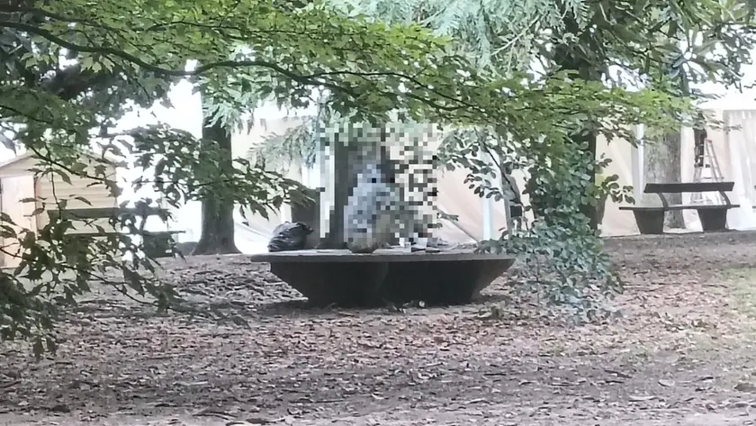 Il giovane, uscito dal bar, si è seduto a parco Galvani