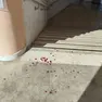I segni degli scontri della sera prima in piazzetta Bertossi