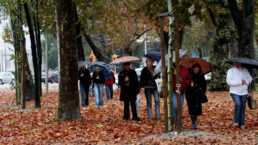 https://images.messaggeroveneto.it/view/acePublic/alias/contentid/1u83iibwhn626yuf6mr/0/copia-di-image_7920777.webp?f=16%3A9&amp;w=840