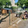 La piccola fattoria in via dei Cappuccini dovrà essere sgomberata