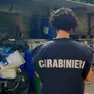 L'operazione dei carabinieri di Udine