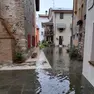 Allagamenti, nei campi e negli edifici. Strade come fiumi e vigili del fuoco impegnati in tantissimi interventi. Il maltempo ha colpito duramente la Bassa friulana