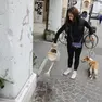 Pordenone chiude la campagna di sensibilizzazione e avvia le sanzioni per chi non pulisce le facciate dagli imbrattamenti e viola le norme sul suolo pubblico