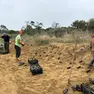 I lavori di piantumazione che sono stati avviati sulle dune a Lignano Riviera