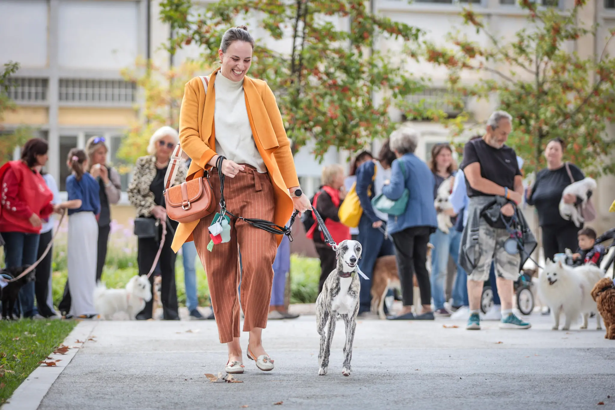 Quarantacinque partecipanti, tanti sorrisi e un'ospite d'onore davvero speciale. Il parco del Municipio di Gorizia ha ospitato sabato 10 ottobre la quarta edizione della benedizione degli animali, organizzata dal Comune insieme alle associazioni La Cuccia, Zampette Cormonesi e Gli amici di Poldo. Alla sfilata hanno partecipato soprattutto cani, con l'eccezione di due tartarughe, suddivisi in tre categorie: tale e quale, bon ton e simpatia. La benedizione è stata impartita da don Fulvio Marcioni, alla presenza del sindaco Rodolfo Ziberna e di altri rappresentanti dell'amministrazione comunale. Grande protagonista della giornata Lamù, il pastore australiano dei vigili del fuoco, andato in pensione ad aprile dopo otto anni di servizio e circa cento interventi di soccorso. Tra le sue missioni anche le ricerche dopo il crollo del ponte Morandi a Genova e il terremoto in Turchia (Foto Daniele Tibaldi)