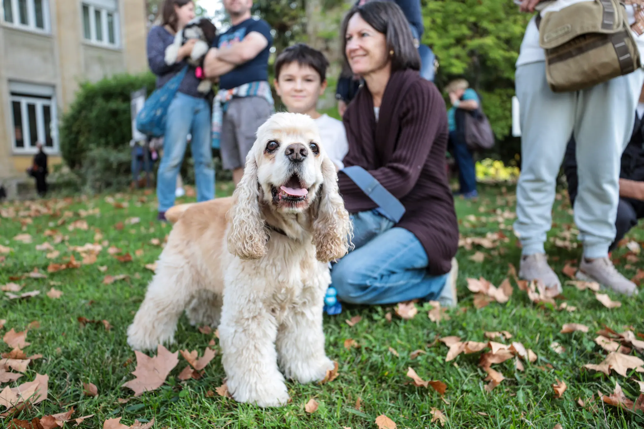 Quarantacinque partecipanti, tanti sorrisi e un'ospite d'onore davvero speciale. Il parco del Municipio di Gorizia ha ospitato sabato 10 ottobre la quarta edizione della benedizione degli animali, organizzata dal Comune insieme alle associazioni La Cuccia, Zampette Cormonesi e Gli amici di Poldo. Alla sfilata hanno partecipato soprattutto cani, con l'eccezione di due tartarughe, suddivisi in tre categorie: tale e quale, bon ton e simpatia. La benedizione è stata impartita da don Fulvio Marcioni, alla presenza del sindaco Rodolfo Ziberna e di altri rappresentanti dell'amministrazione comunale. Grande protagonista della giornata Lamù, il pastore australiano dei vigili del fuoco, andato in pensione ad aprile dopo otto anni di servizio e circa cento interventi di soccorso. Tra le sue missioni anche le ricerche dopo il crollo del ponte Morandi a Genova e il terremoto in Turchia (Foto Daniele Tibaldi)