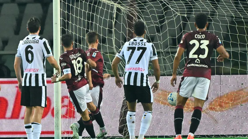 Un momento del match tra Torino e Udinese (Petrussi)
