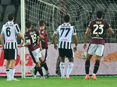 Un momento del match tra Torino e Udinese (Petrussi)