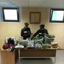 I carabinieri con la sostanza sequestrata