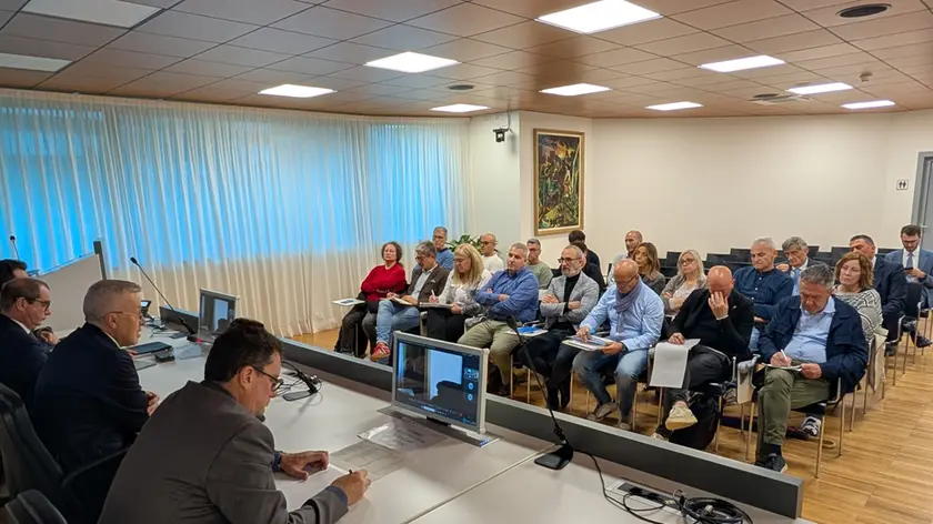 L’incontro di mercoledì pomeriggio in via Sabbadini a Udine con gli assessori Bini e Rosolen