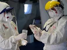 24/03/2020 Bologna. Gli operatori sanitari controllano i tamponi di test coronavirus