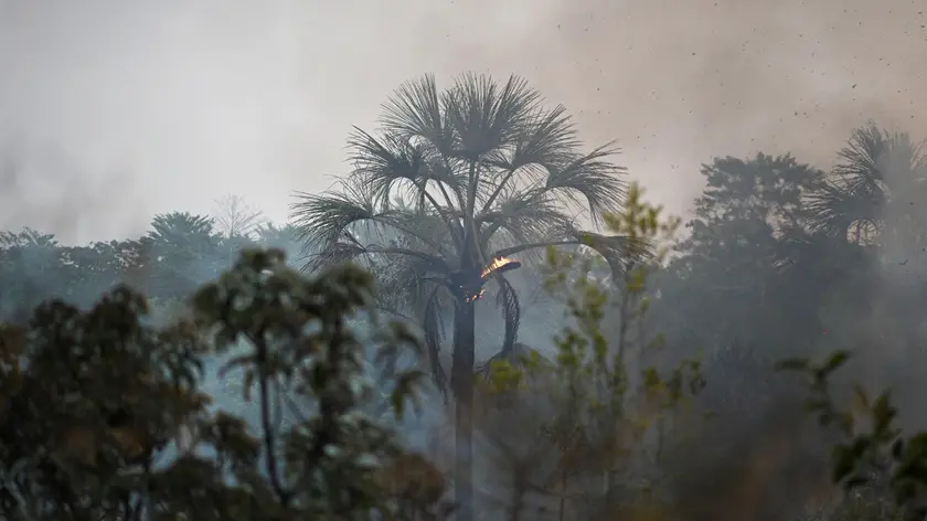 epa11583034 Smoke rises during a fire in the National Forest Park of Brasilia, Brazil, 03 September 2024. In the middle of the heat, fires have extended throughout most parts of Brazil. The National Institute of Meteorology announced a red alert due to the low humidity of the air in Brasilia. EPA/Andre Borges