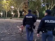 Una immagine relativa alla vasta operazione della Polizia di Stato in diverse province del territorio nazionale, 15 dicembre 2023. L'operazione sta impiegando oltre 500 operatori coordinati dal Servizio centrale operativo in 14 province (Arezzo, Bari, Catania, Genova, Milano, Modena, Napoli, Palermo, Padova, Pescara, Reggio-Emilia, Rovigo, Salerno e Verona), teatro di recenti episodi delittuosi riconducibili a gruppi criminali giovanili. Una quarantina di persone, di cui circa il 25% minorenni, sono state arrestate e ne sono state denunciate circa 70, di cui un terzo minorenni. ANSA/ UFFICIO STAMPA ++HO - NO SALES EDITORIAL USE ONLY++