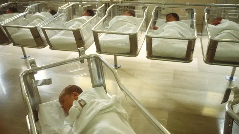Newborn babies sleeping in hospital nursery