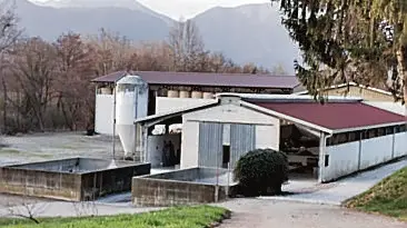 L’azienda zootecnica a casasola di San Daniele