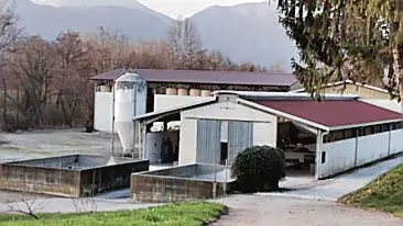 L’azienda zootecnica a casasola di San Daniele