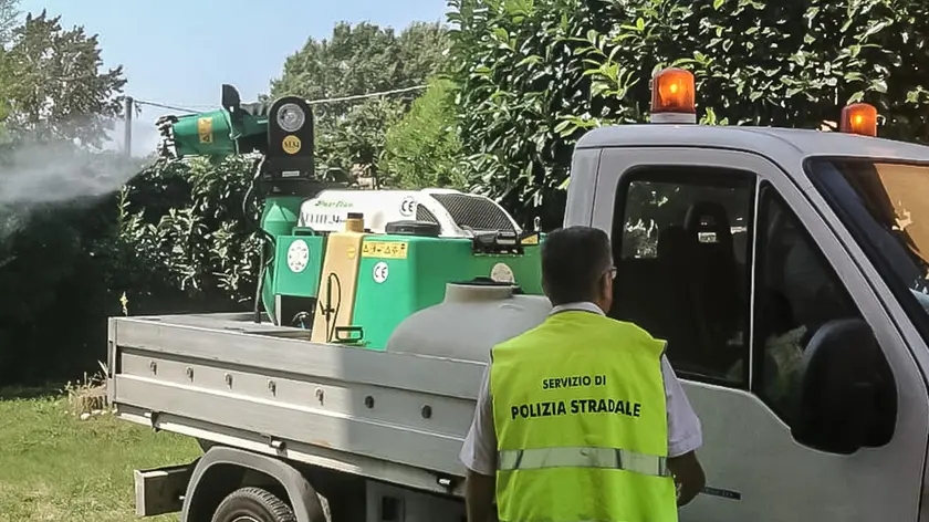 Operazioni di disinfestazione contro la zanzara vettore del virus del West Nile