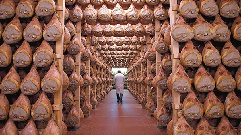 A worker checks in a special room where the Parma hams are hung to dry in Langhirano near Parma, October 13, 2009. Prosciutto di Parma can only be produced in a very restricted area of 29 sq km (11.2 sq mile) around the town of Parma in the region of Emilia Romagna, just north of Tuscany. Around 10 million hams are sold every year, of which about 2 million are exported, mainly to France, the United States and Germany, which each consume about 400,000 a year. To match Reuters Life! FOOD-ITALY/HAM REUTERS/Stefano Rellandini (ITALY FOOD SOCIETY IMAGES OF THE DAY)