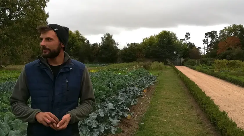 dav