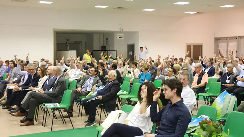 ASSEMBLEA FRIULOVEST BANCA 2018