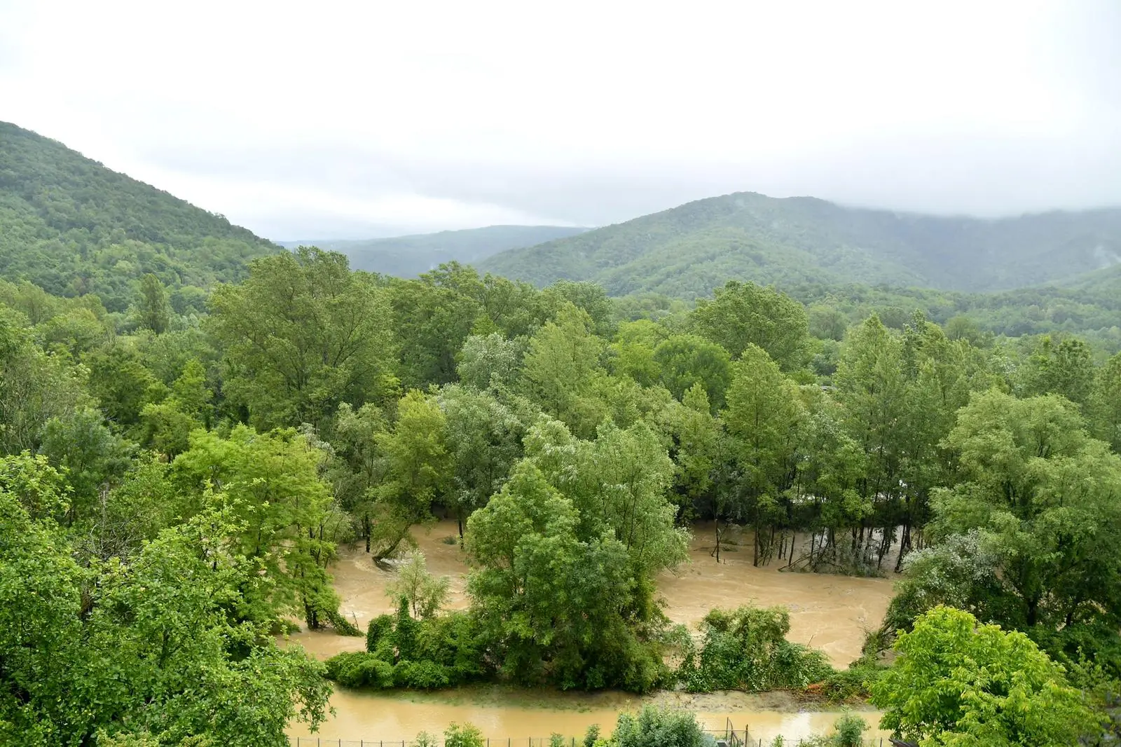 Cividalese