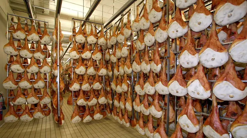 San Daniele 12 Marzo 2008. Lavorazione del Prosciutto. Telefoto Copyright /Foto Agency Anteprima Udine.