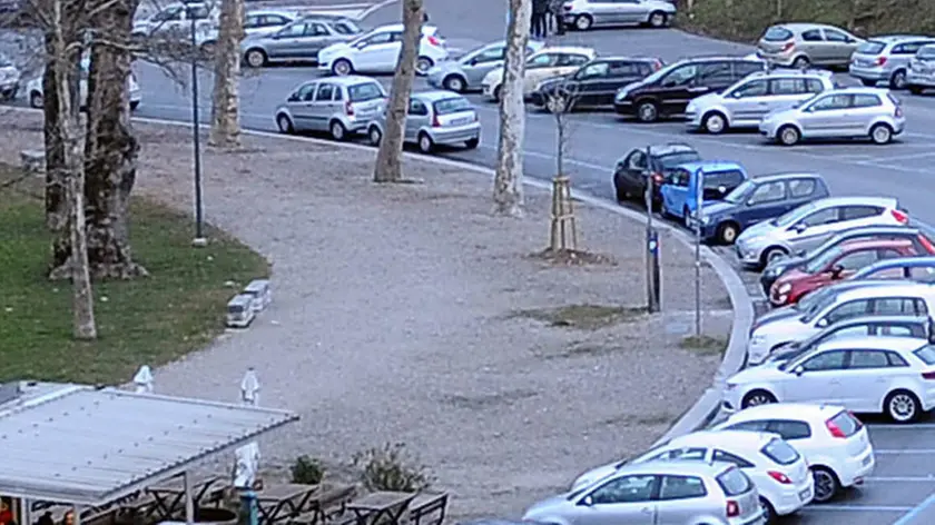 Udine 24 Febbraio 2015. Alberi malati del parcheggio a ridosso del Consevatorio il Piazza Primo Maggio. © Petrussi Foto Press