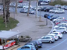 Udine 24 Febbraio 2015. Alberi malati del parcheggio a ridosso del Consevatorio il Piazza Primo Maggio. © Petrussi Foto Press