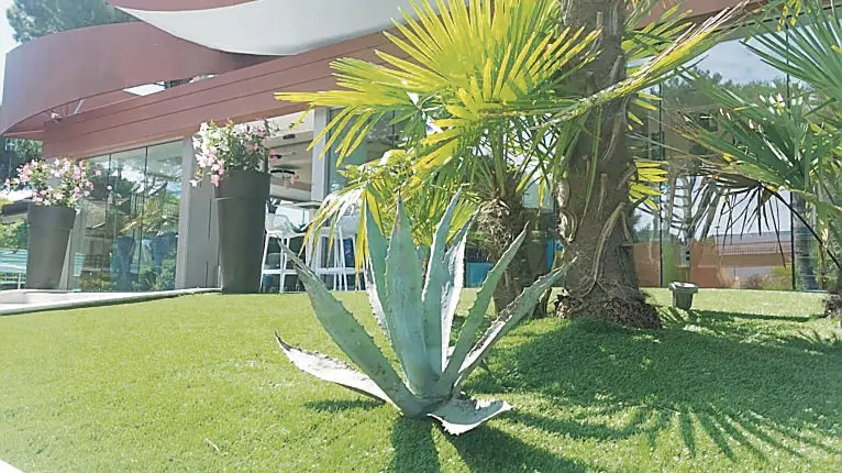L’erba sintetica all’esterno di uno degli hotel del presidente Guerin