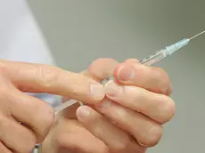MELBOURNE, AUSTRALIA - NOVEMBER 12: Dr Peter Braun, Medical Director for the 2010 Australian Olympic Winter Team holds a needle as he prepares to give snowboarder Joh Shaw a vaccination as Shaw takes part in a vaccination program in the lead up to the 2010 Winter Olympic Games at the Victorian Institute of Sport on November 12, 2009 in Melbourne, Australia. (Photo by Scott Barbour/Getty Images)