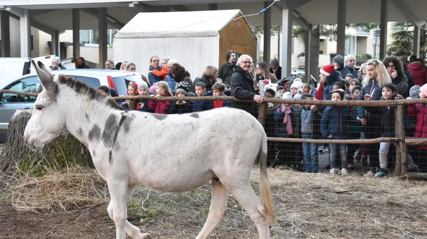 Udine 12 Dicembre 2018 proloco villaggio del sole Agenzia Petrussi foto Massimo Turco