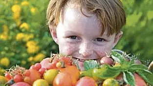 Negli istituti udinesi parte un nuovo progetto per incentivare un'alimentazione sana a scuola