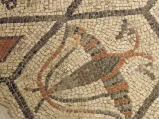 Bonaventura Monfalcone-08.04.2017 Inaugurazione Domus-Aquileia-foto di Katia Bonaventura