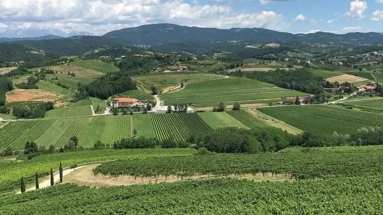 Tra Collio e Colli Orientali del Friuli