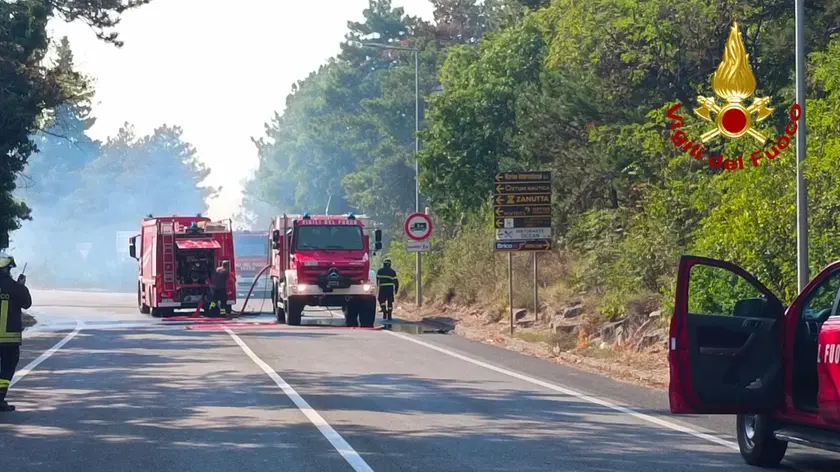 Vasto incendio boschivo sul Carso nel Monfalconese in località Lisert