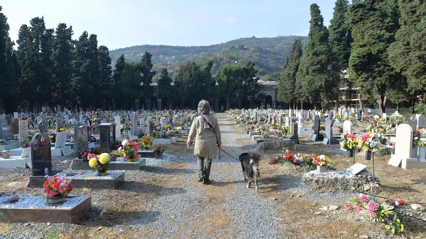 Un cane con la sua padrona nel cimitero di Staglieno, dove è partita la sperimentazione del Comune per poter portare gli animali d'affezione nei cimiteri, 12 novembre 2015 a Genova. Le Guardie Zoofile della Lega Nazionale della Difesa del Cane hanno impartito i consigli pratici ai proprietari degli animali per poter accedere al cimitero. ANSA/LUCA ZENNARO