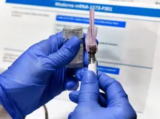 FILE - In this July 27, 2020, file photo, nurse Kathe Olmstead prepares a shot that is part of a possible COVID-19 vaccine, developed by the National Institutes of Health and Moderna Inc., in Binghamton, N.Y. Moderna said Monday, Nov. 16, 2020, its COVID-19 shot provides strong protection against the coronavirus that\'s surging in the U.S. and around the world. (AP Photo/Hans Pennink, File)