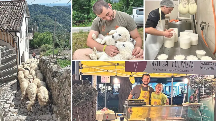 Simone e Giacomo con il loro stand, Simone con i cuccioli di maremmano, Giacomo impegnato nella produzione e con il gregge di pecore