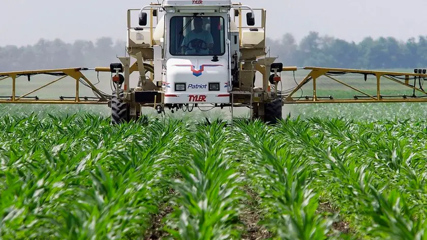 **HOLD FOR STORY BY DAVID MERCER** In this photo taken June 1, 2010, central Illinois corn farmer Jerry McCulley sprays weed killer across his cornfield in Auburn, Ill. A handful of hardy weeds have adapted to survive Roundup, which many scientists say threatens to make the ubiquitous herbicide far less useful to farmers. (AP Photo/Seth Perlman)