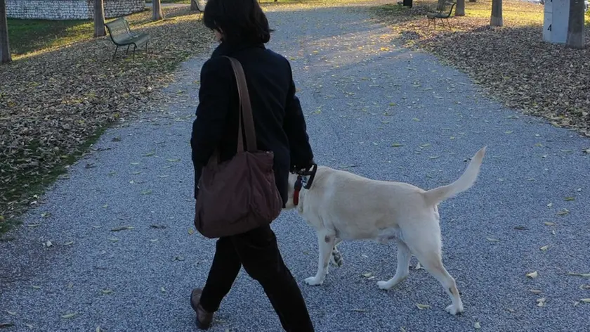 Udine 30 Marzo 2012. Cani al parco. Telefoto Copyright Foto Petrussi